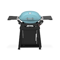 Q 2800N+ Gas Grill With Stand (Liquid Propane) - Sky Blue