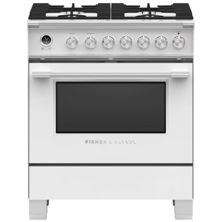 Professional Gas Range