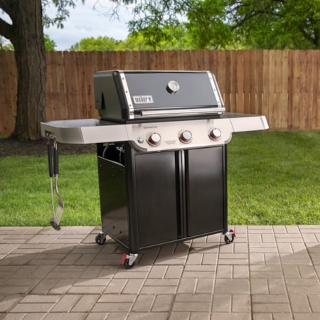 Lp Gas Bbq