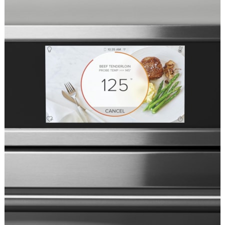 Single Wall Electric Oven