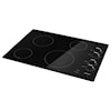 Amana Electric Ranges Cooktops (electric)