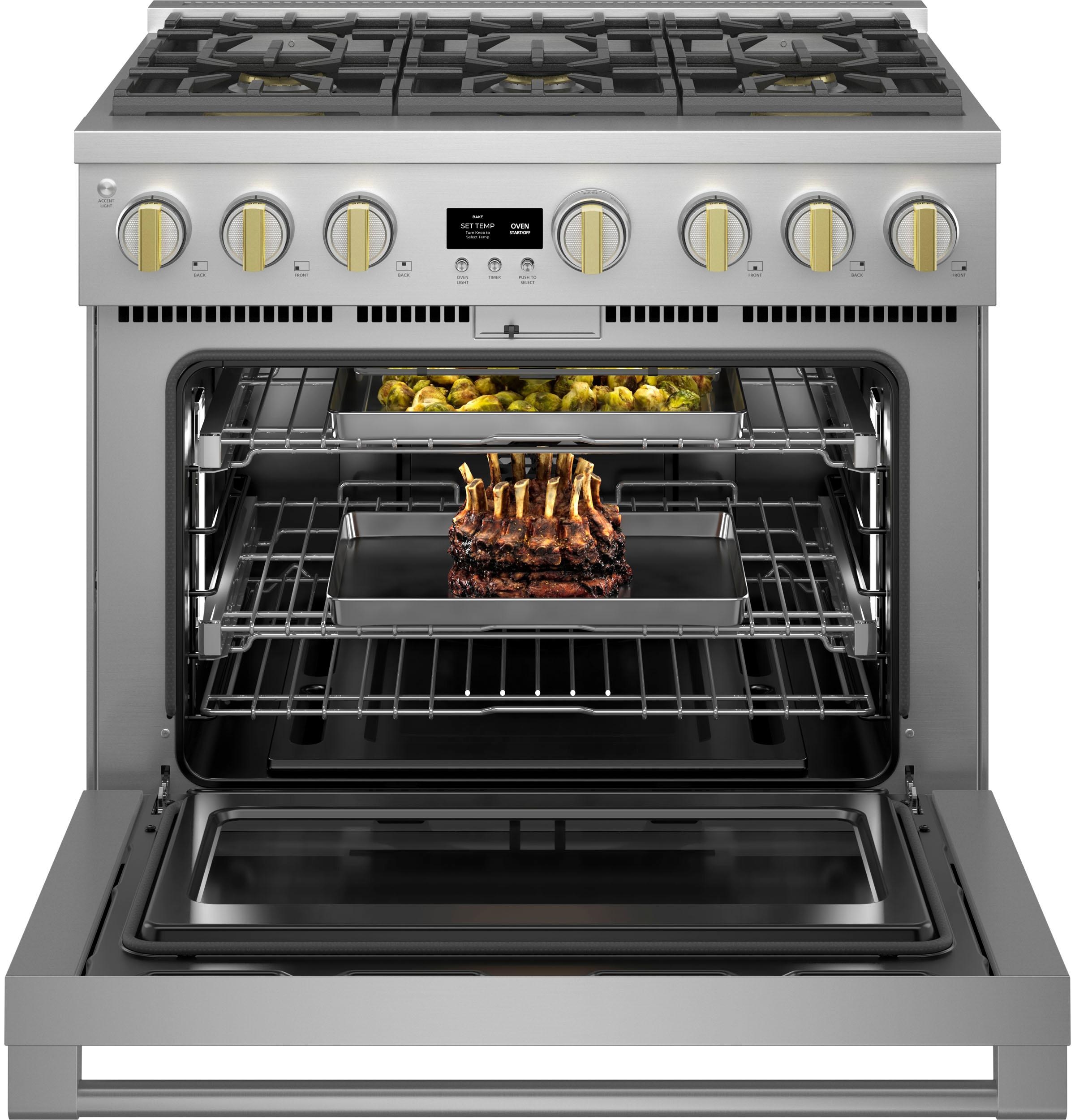Professional Gas Range
