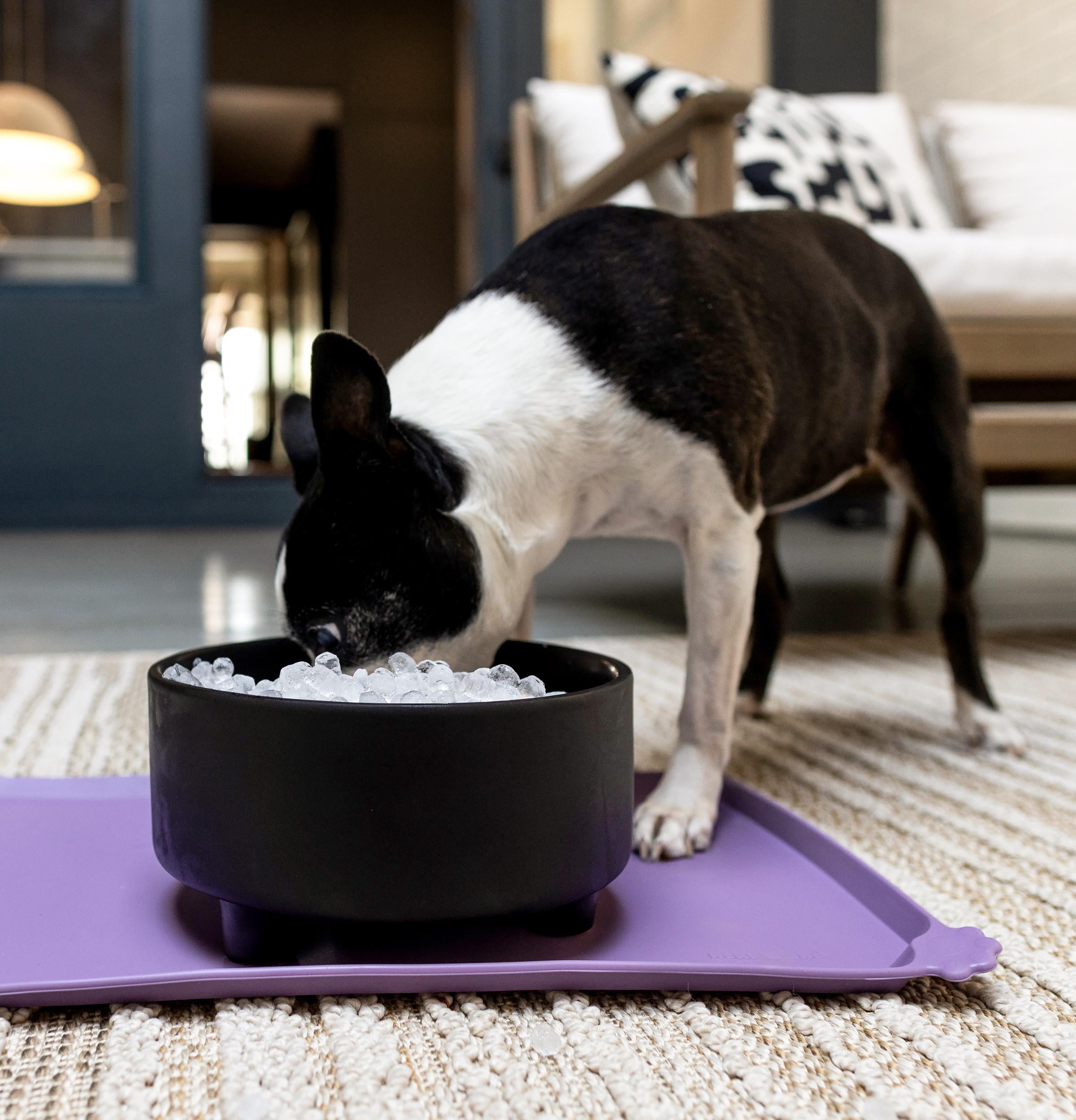 GE Appliances Freezers GE Appliances Ice Maker