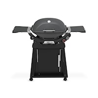 Q 2800N+ Gas Grill With Stand (Liquid Propane) - Charcoal Grey