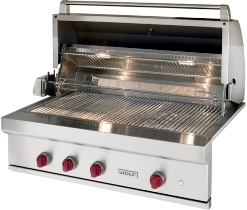 Wolf Pro Style 42" Outdoor Gas Grill