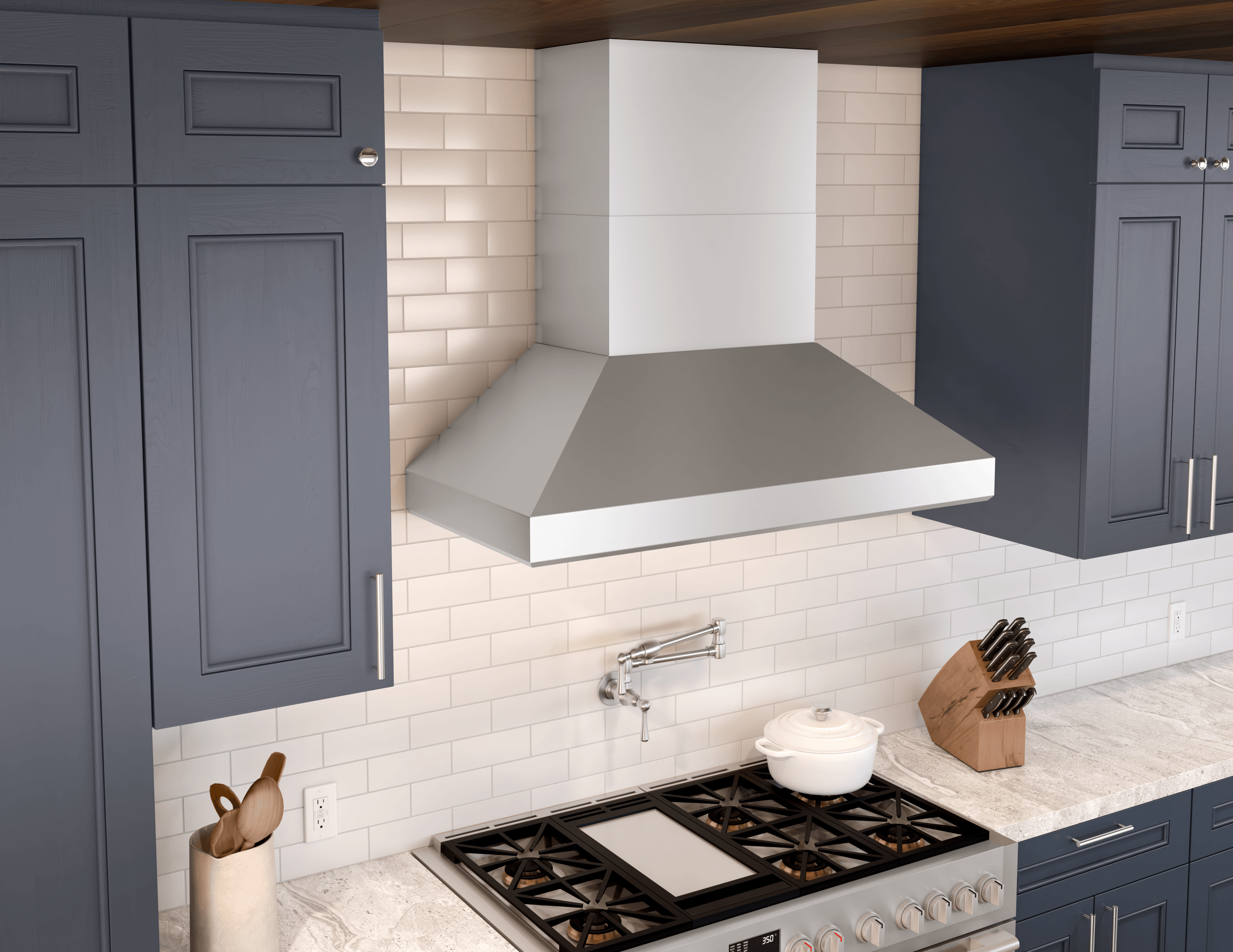 Zephyr Hoods Professional Hood