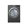 LG Appliances Laundry Dryer