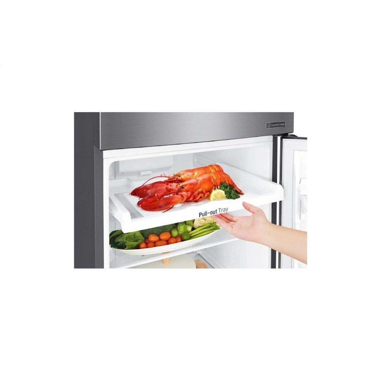 LG Appliances Refrigerators Top Freezer Freestanding Refrigerator