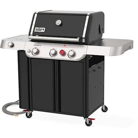 Lp Gas Bbq