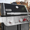 Weber Grills Barbeques Lp Gas Bbq