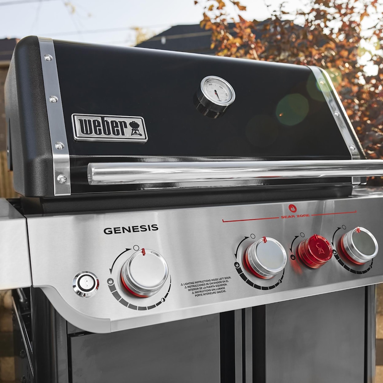 Weber Grills Barbeques Natural Gas Bbq