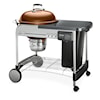 Weber Grills Barbeques Grill