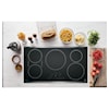 GE Appliances Electric Ranges Cooktops (electric)