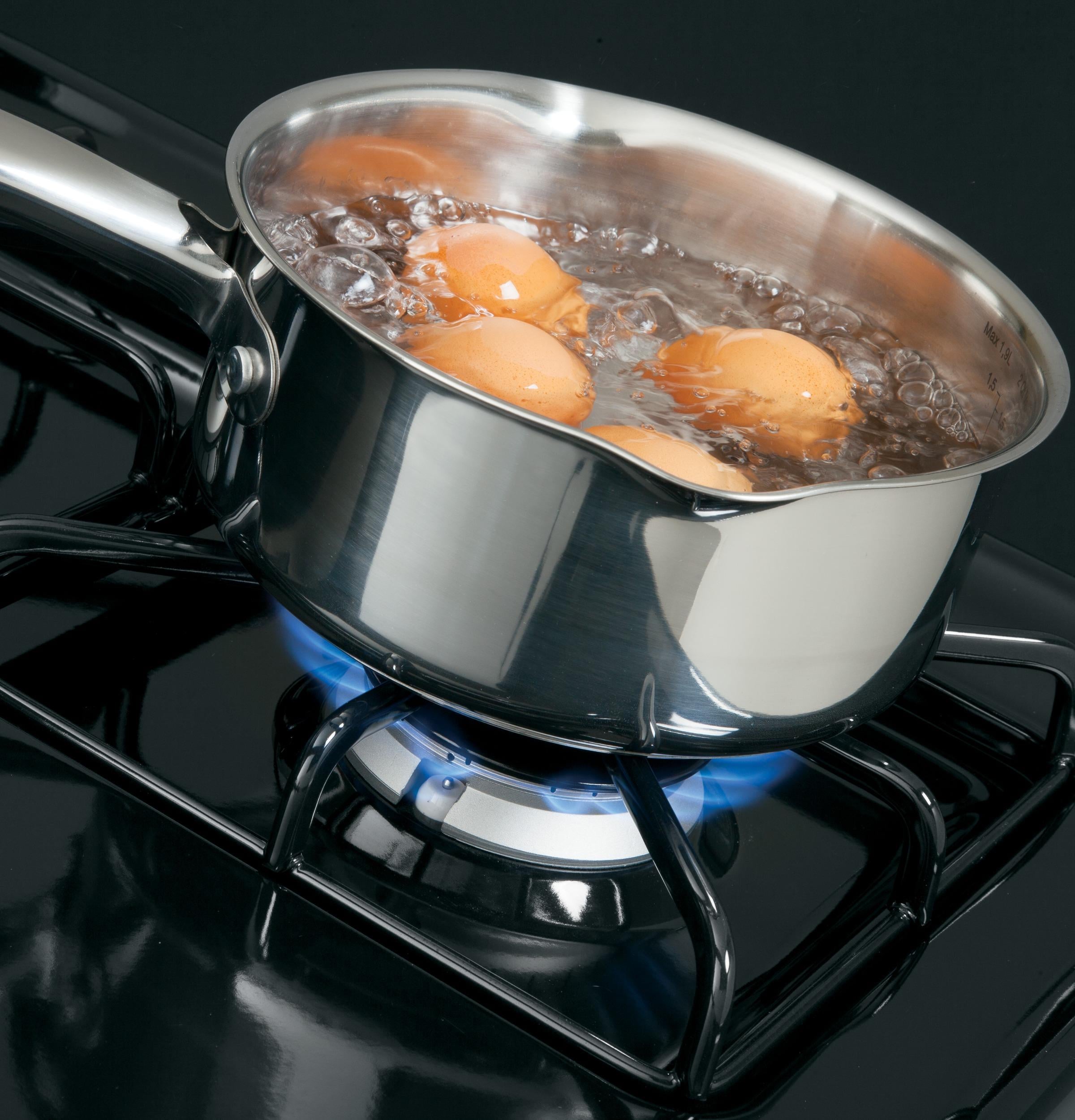 Hotpoint Gas Ranges 30" Free Standing Gas Range