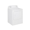 Amana Laundry Dryer