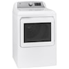 GE Appliances Laundry Dryer