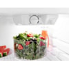 Amana Refrigerators Top Freezer Freestanding Refrigerator