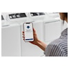 GE Appliances Laundry Commercial Dryer