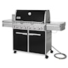 Weber Grills Barbeques Grill