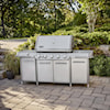 Weber Grills Barbeques Natural Gas Bbq