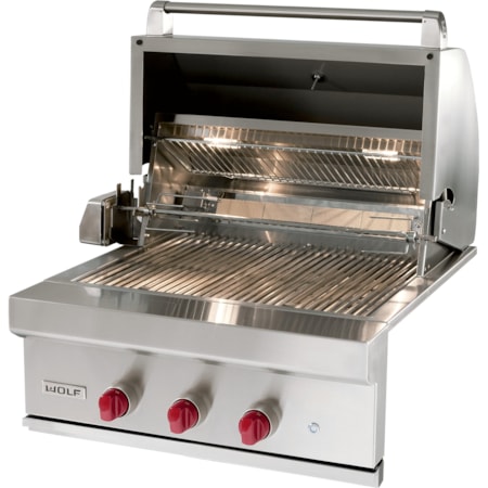 Wolf Pro Style Gas Grill