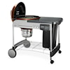 Weber Grills Barbeques Grill