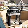 Weber Grills Barbeques Grill