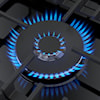 Bosch Gas Ranges Cooktops (Gas)