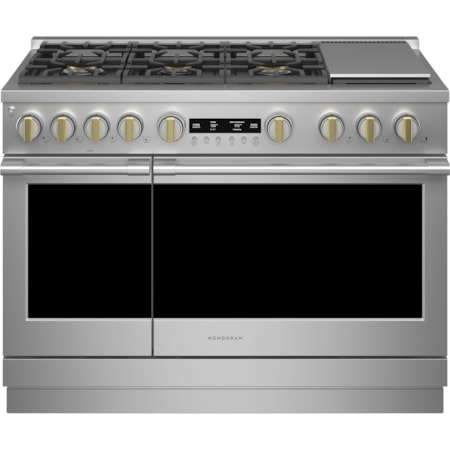 Professional Gas Range
