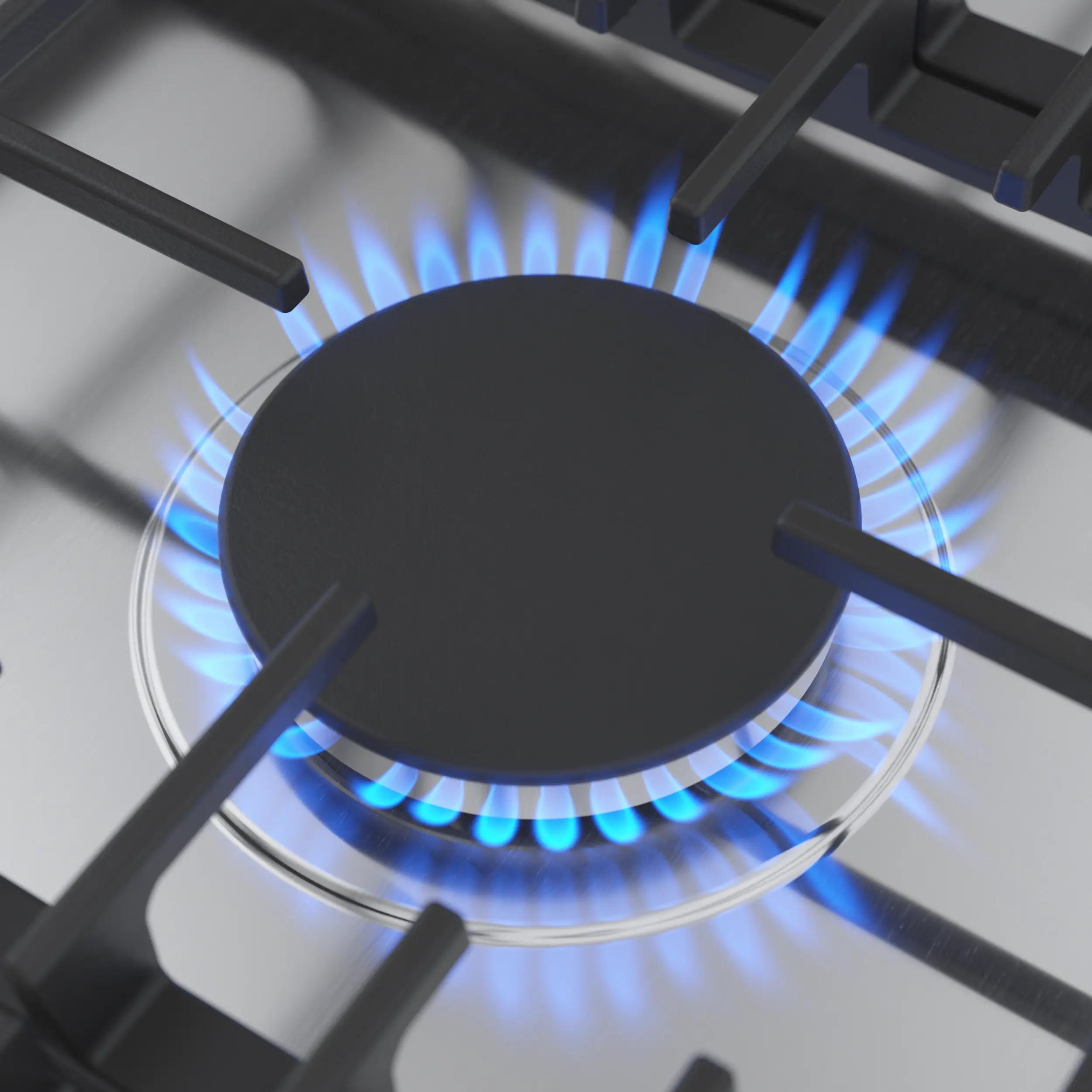 Bosch Gas Ranges Bosch Gas Cooktop