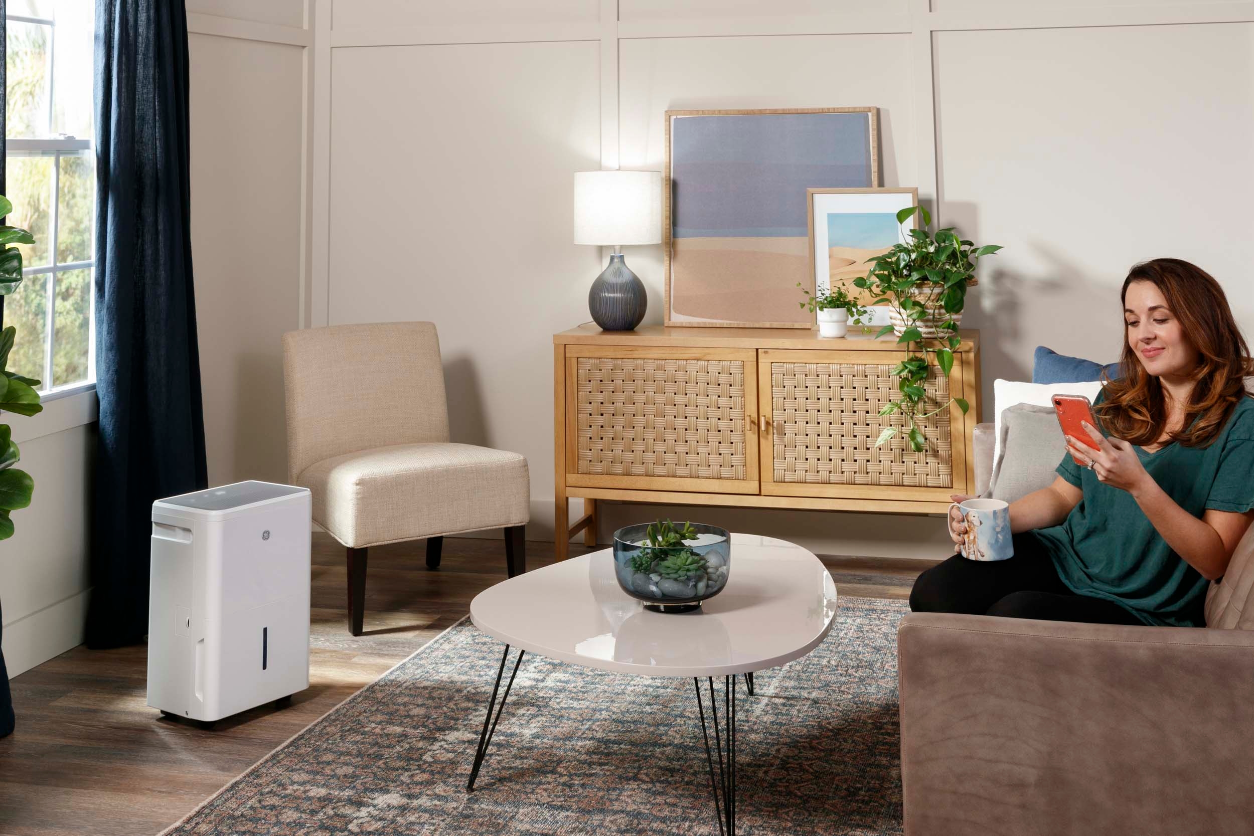 GE Appliances Dehumidifiers GE Appliances 22-Pint Dehumidifier