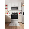 Amana Electric Ranges Range