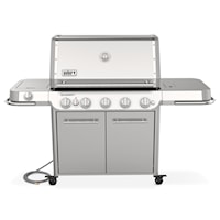 Summit(R) Fs38 S Gas Grill (Natural Gas) - Stainless Steel