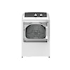 GE Appliances Laundry Dryer