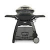 Weber Grills Barbeques Lp Gas Bbq