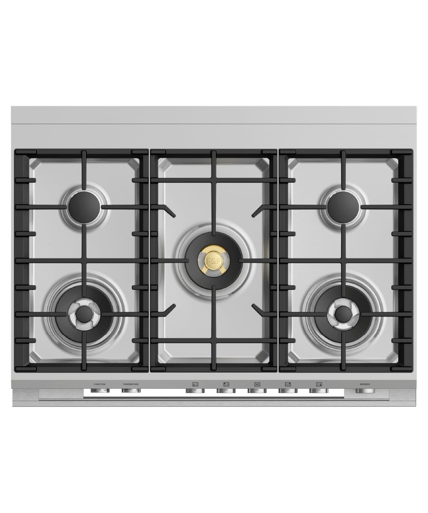 Professional Gas Range