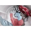 Amana Laundry Dryer