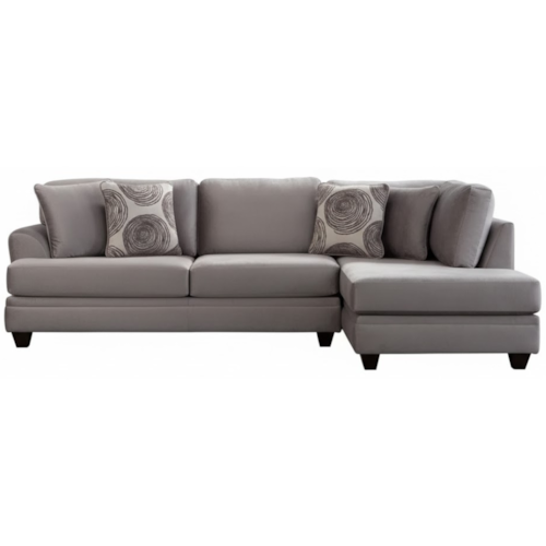 Casual Contemporary 2-Piece Sectional