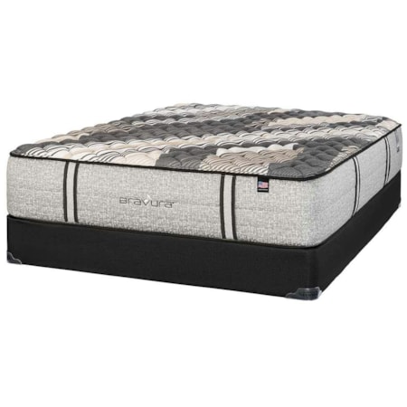 Therapedic Blackbird Plush Queen Mattress