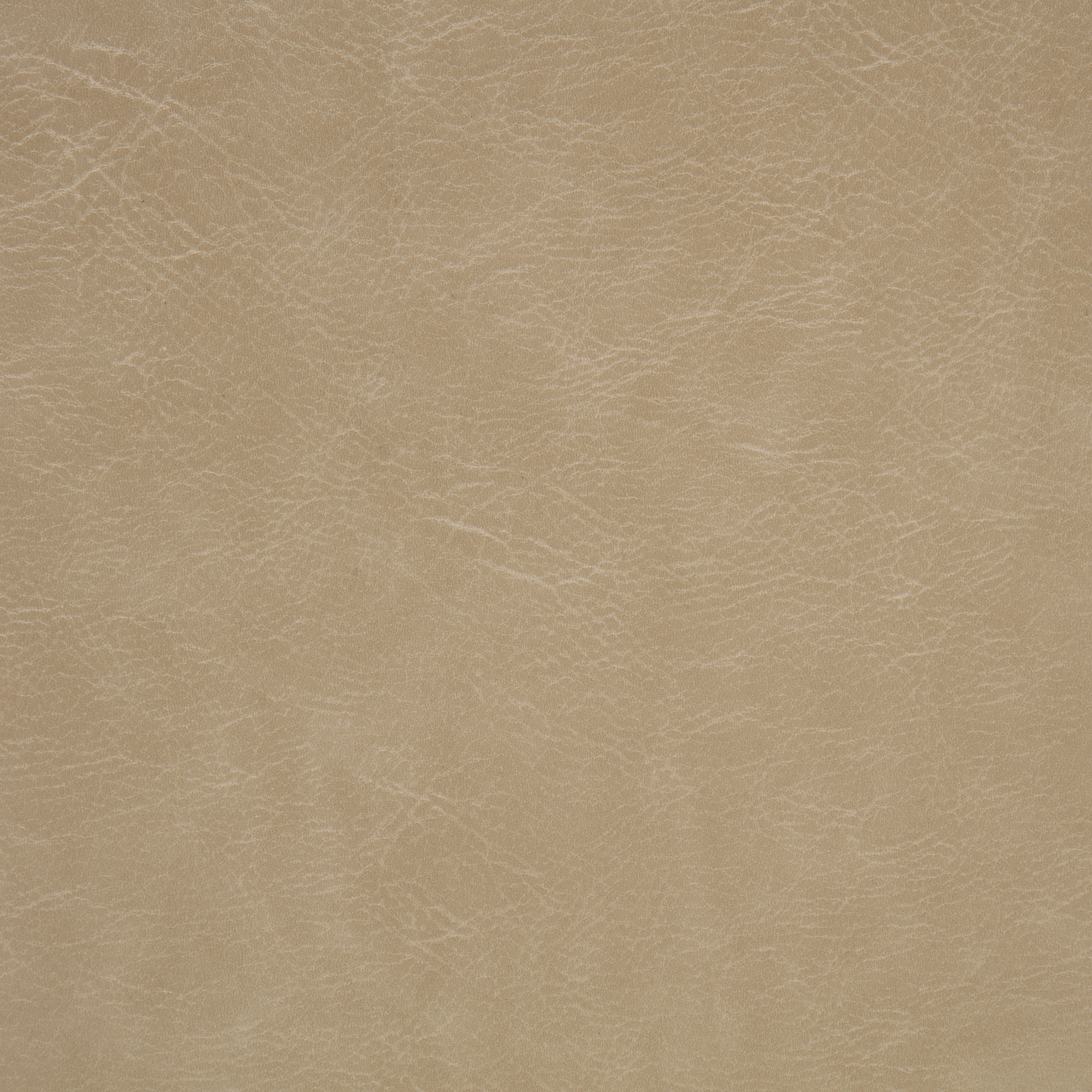 Coaster Ortega Dining Side Chair Tan