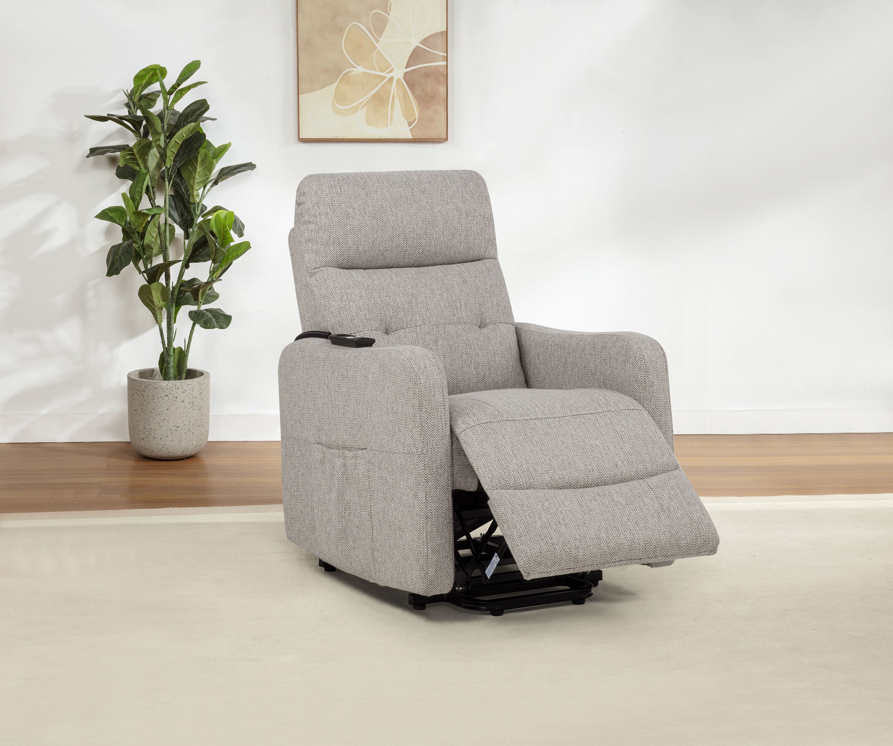 Dayes Power Lift Recliner Chair