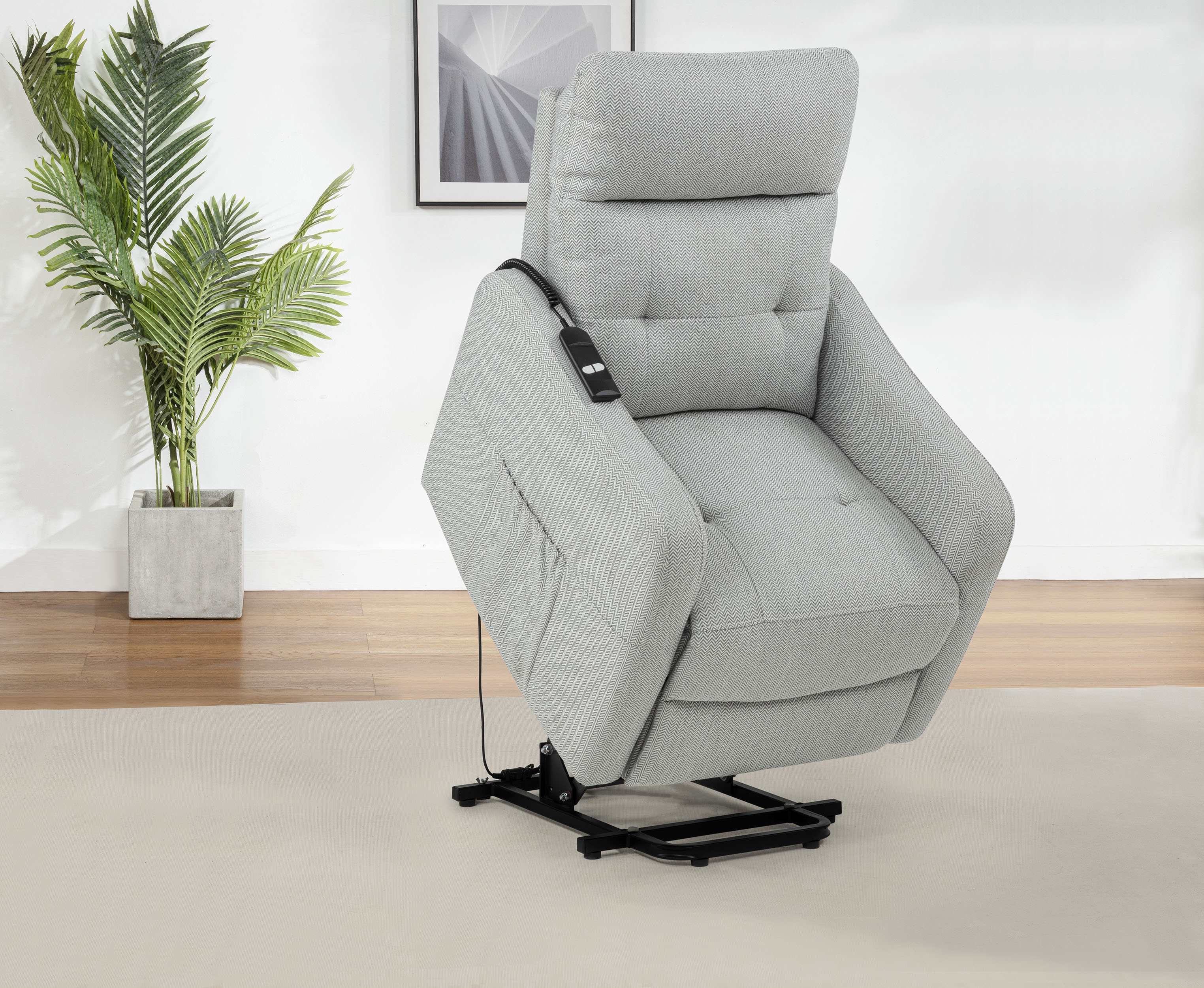 Dayes Power Lift Recliner Chair