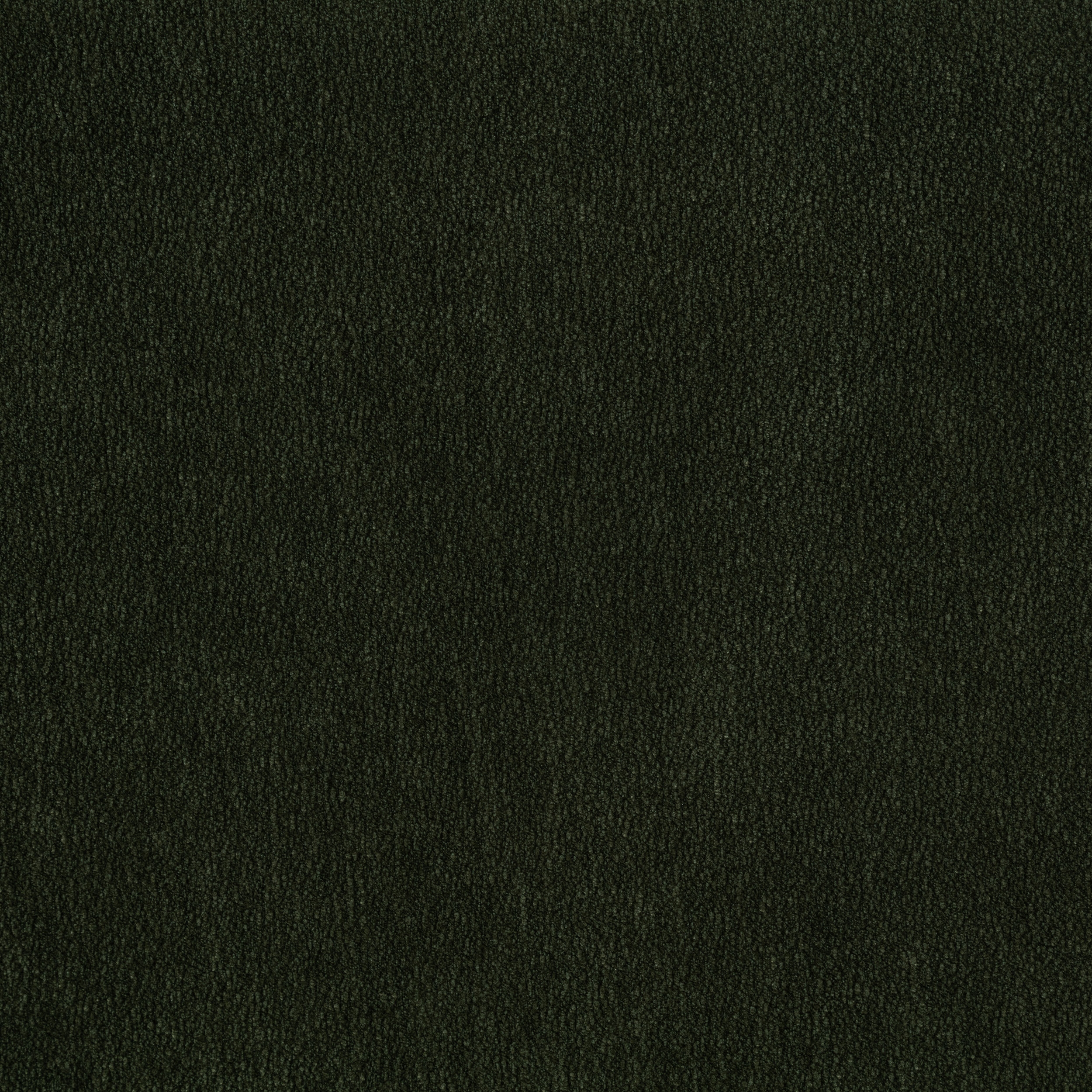 Coaster Ruth Ruth Fabric Accent Chair Matcha