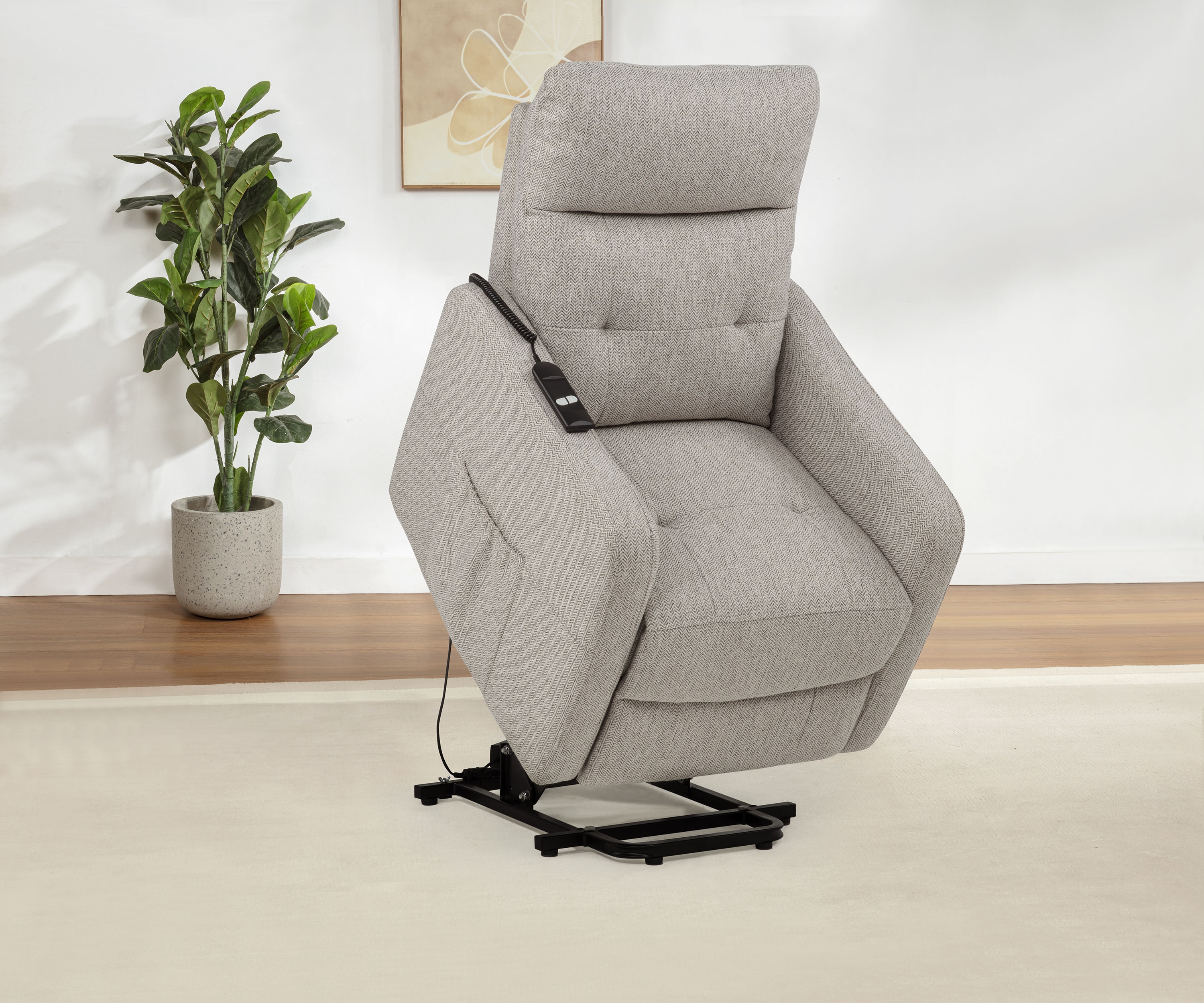 Dayes Power Lift Recliner Chair