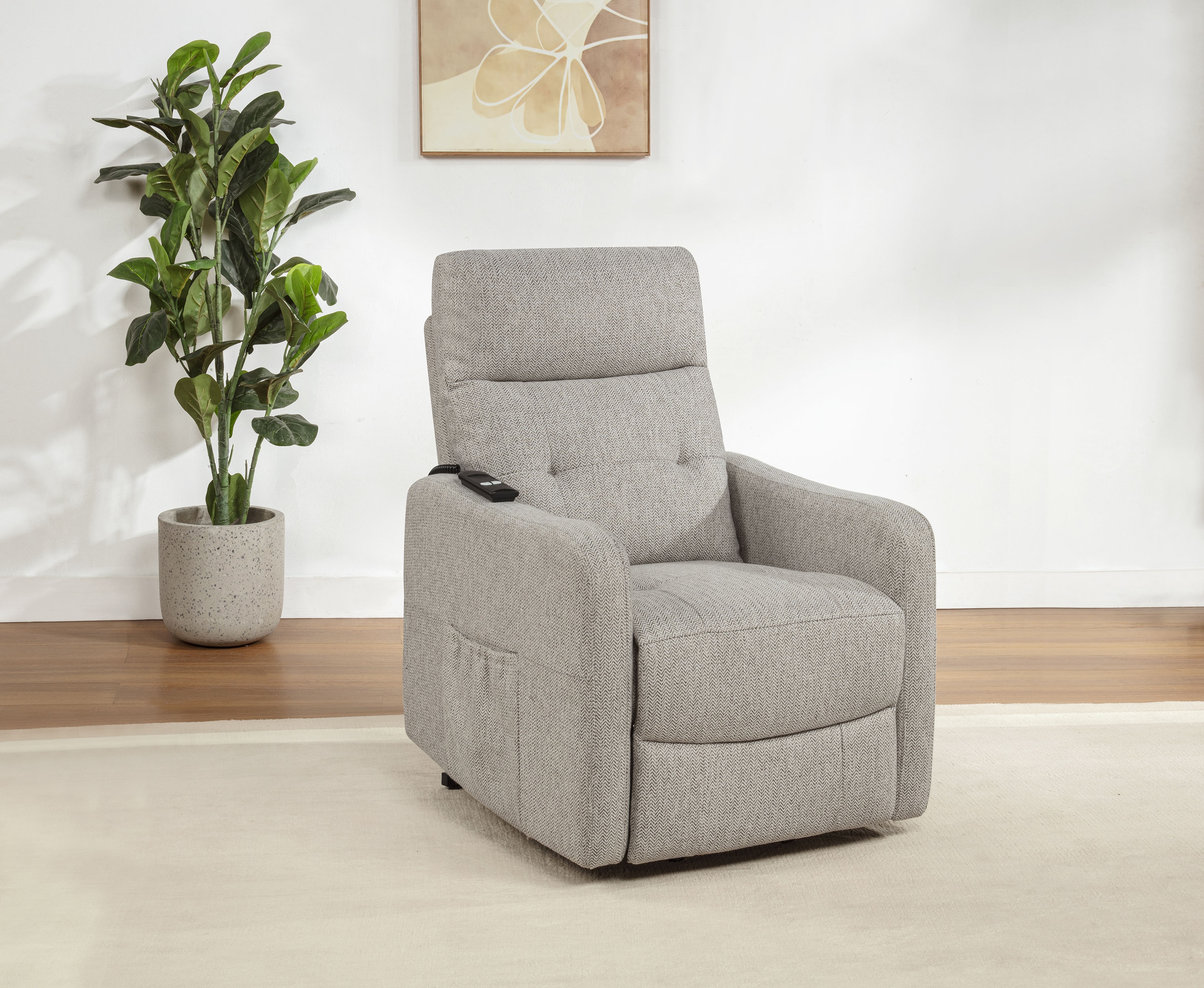 Dayes Power Lift Recliner Chair