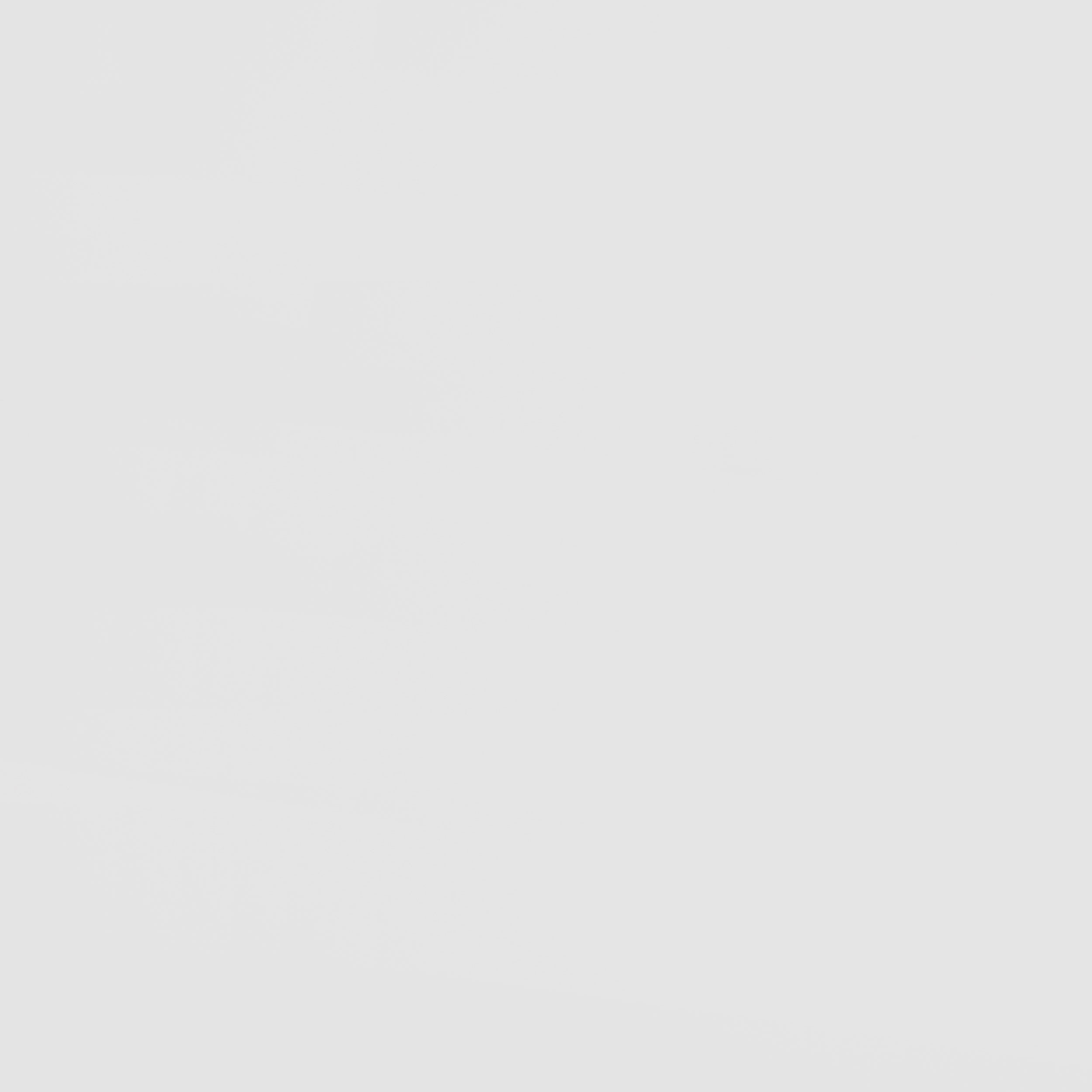 Frankie Twin Bunk Bed w/ Mattresses