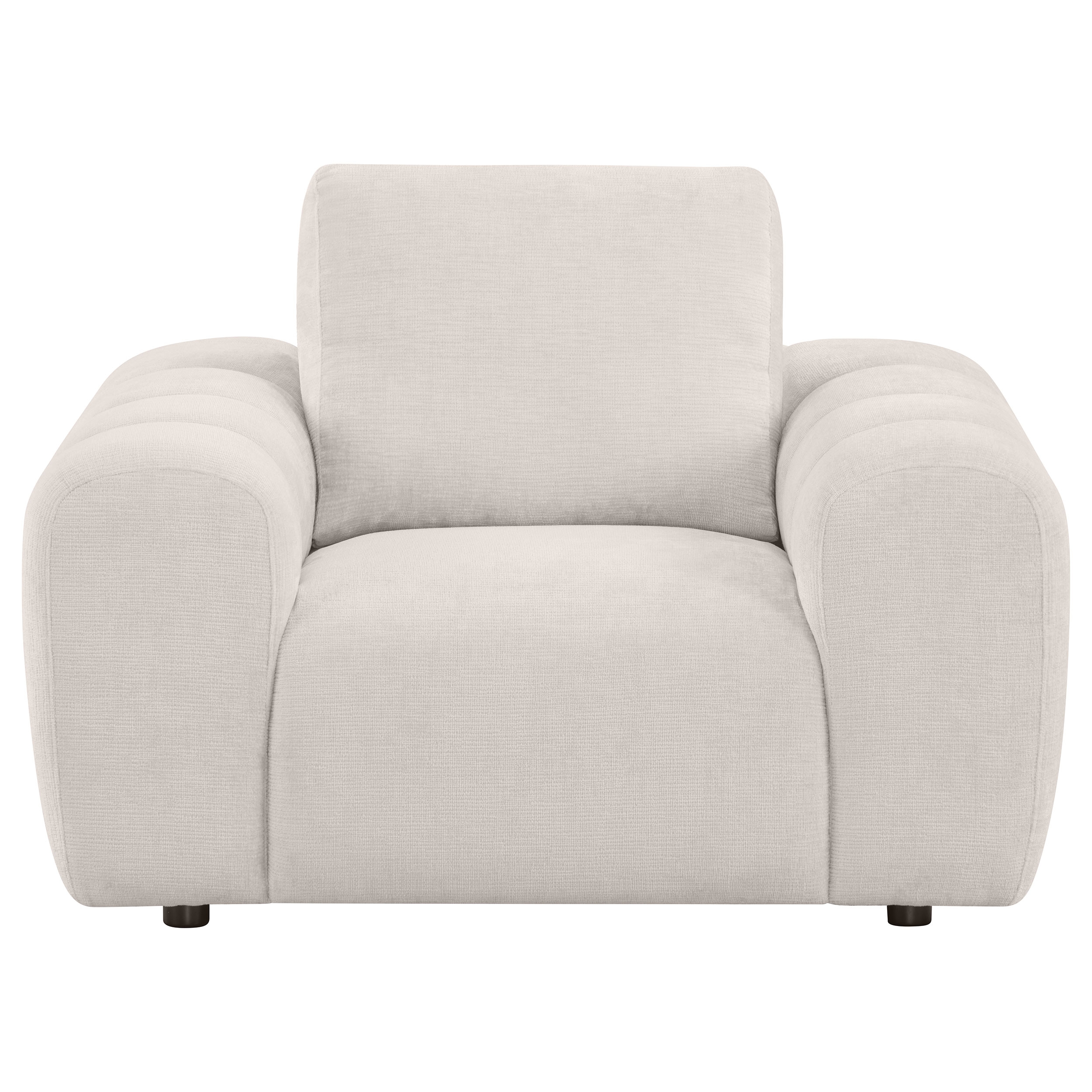 Coaster Burnett Burnett Chenille Accent Chair