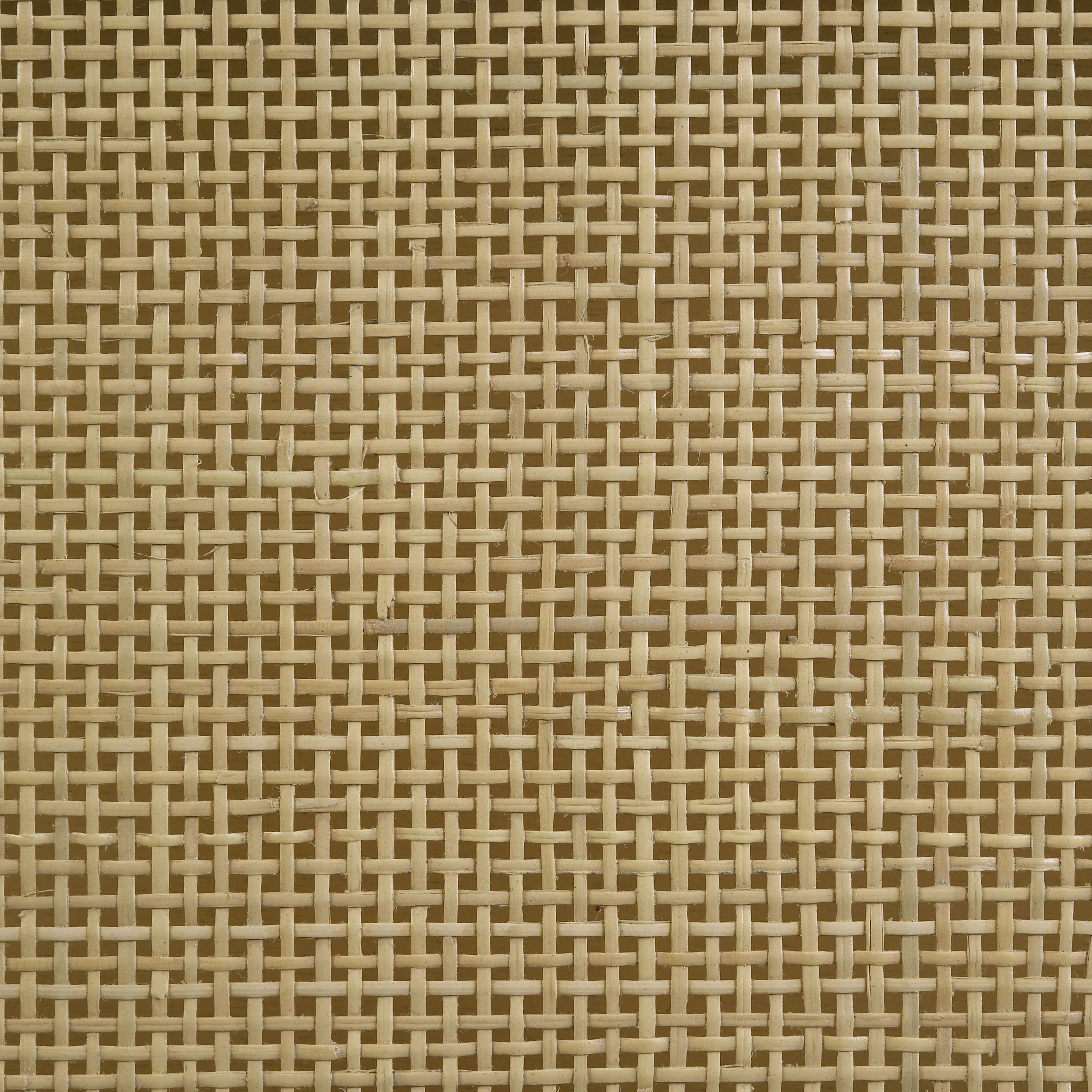 Coaster Arini Cane Weave Full Length Standing Floor Mirror