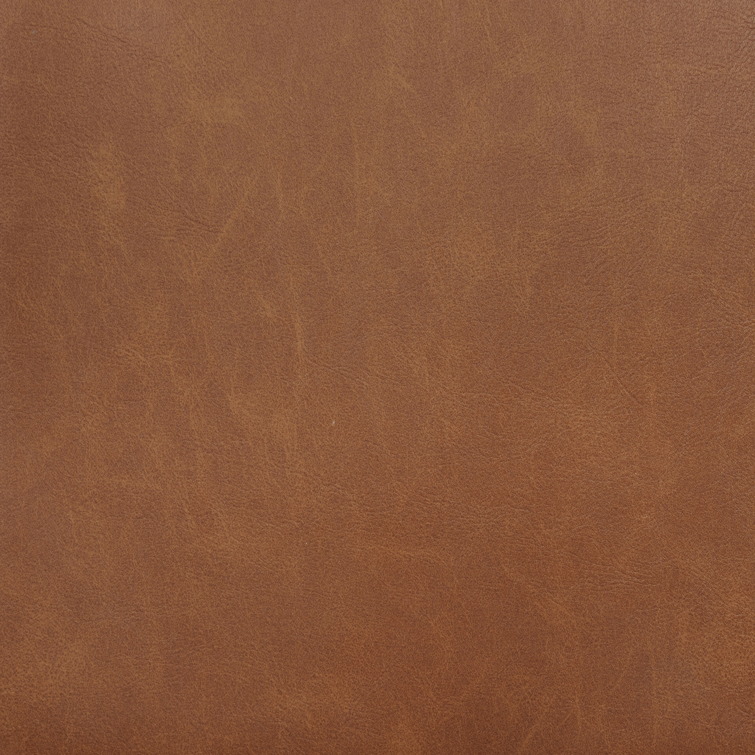 Coaster Tegan Tegan Dining Side Chair Cognac