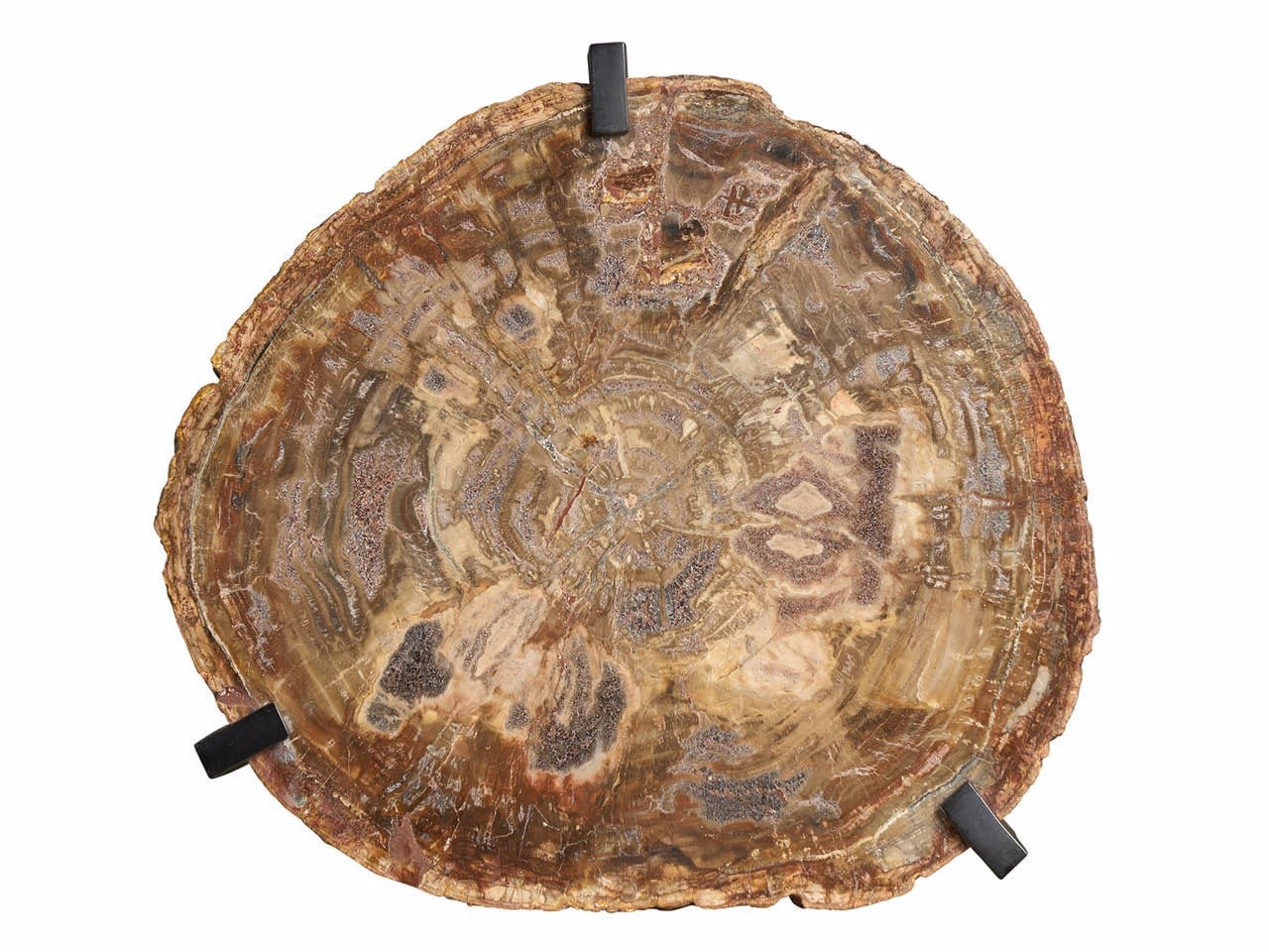 Griffith Park Large Bunching Table